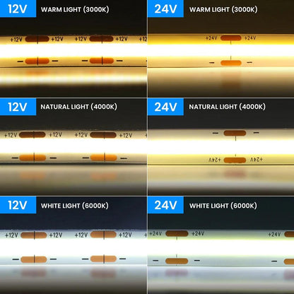 12V COB LED Strip Light With 8mm PCB 320480528 LEDs Flex Tape High Density Linear Lighting - Lumaz