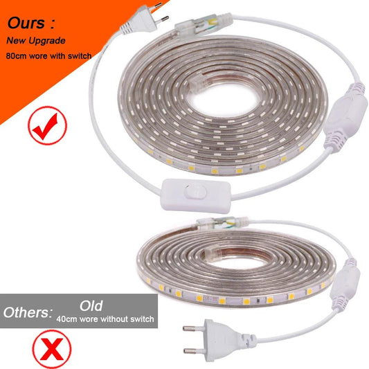 220V SMD 5050 IP67 Waterproof Flexible LED Strip Light With Switch Plug 60LEDs RGB Light - Lumaz