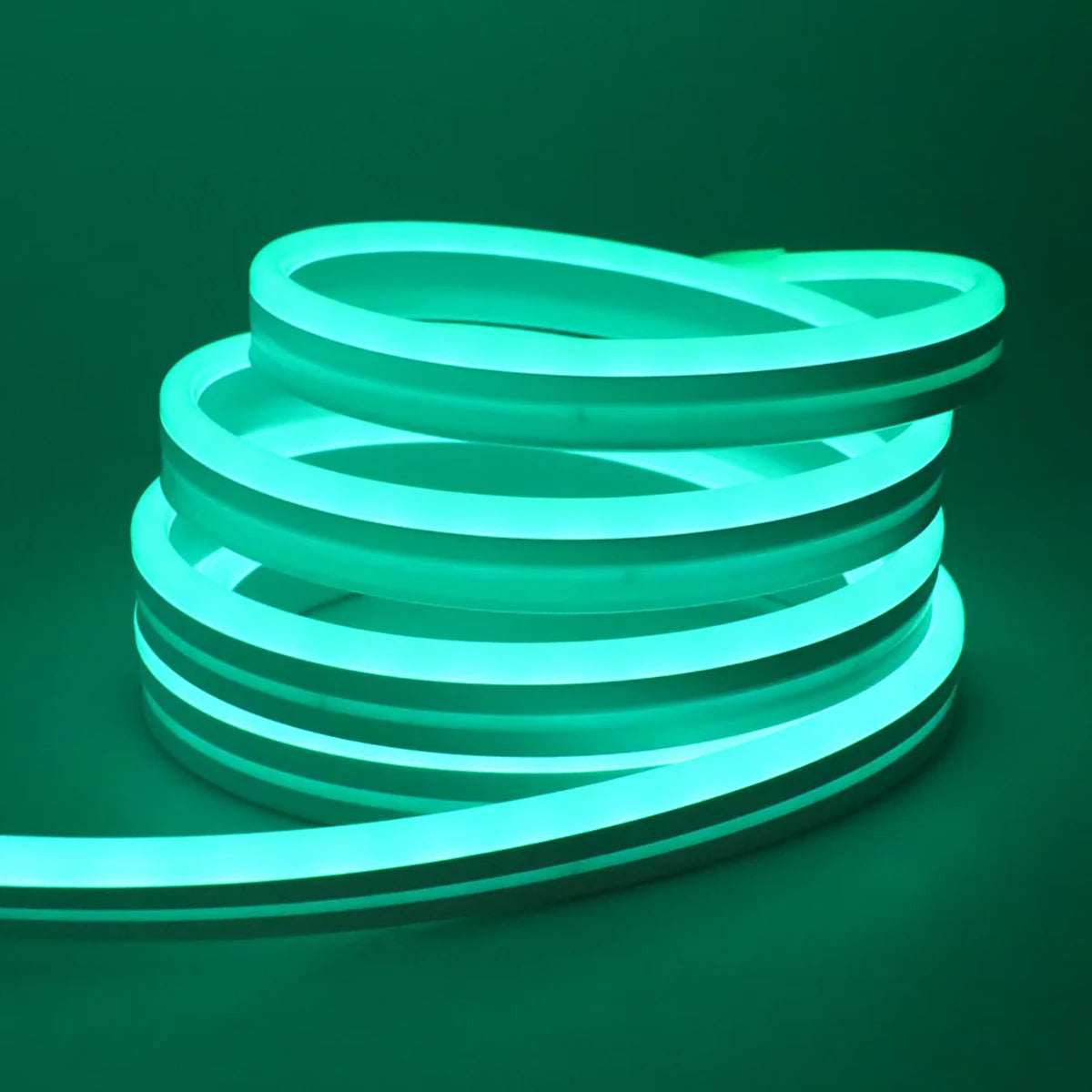 DC 24V RGB Neon Rope LED Strip Light - App Control, Music Sync, Waterp ...