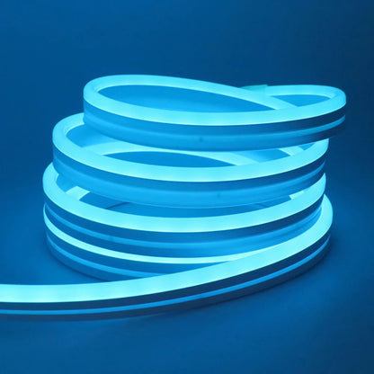 24V RGB LED Neon Rope Lights Color Change Music Sync App Control Waterproof Flexible