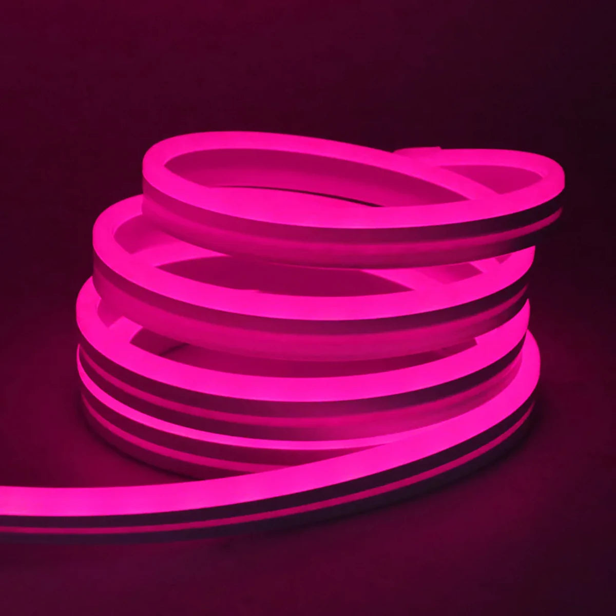 24v Rope Rgb DC 24V RGB Neon Rope LED Strip Light - App Control, Music Sync, Waterp ...