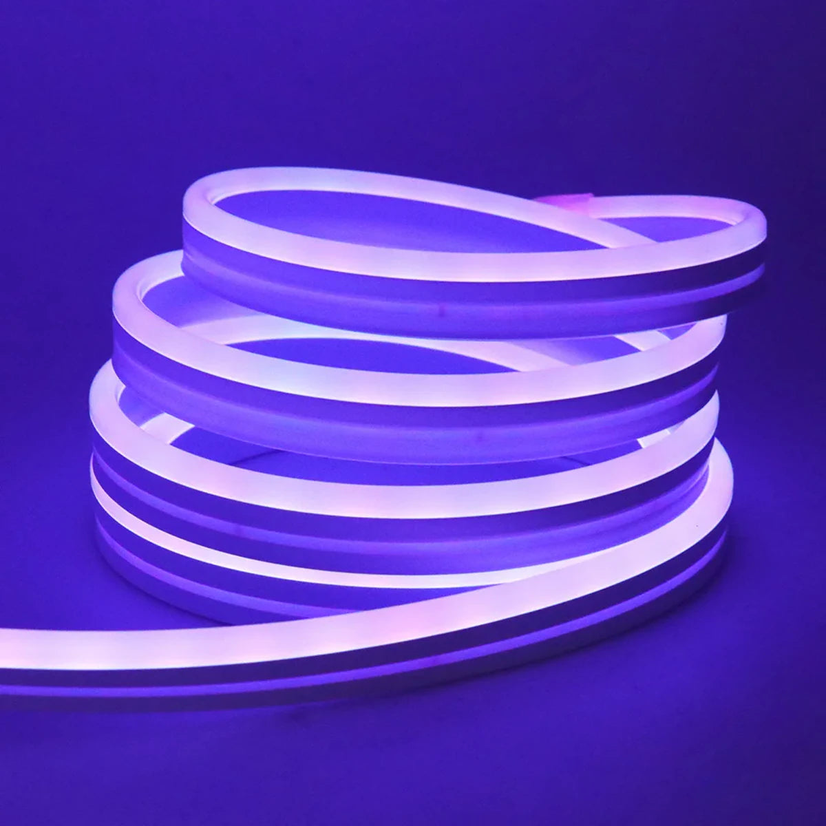 DC 24V RGB Neon Rope LED Strip Light - App Control, Music Sync, Waterp ...