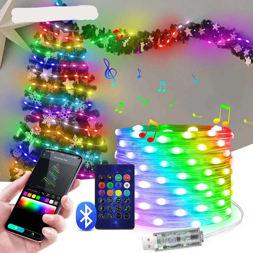 5M/10M/20M USB RGBIC LED Fairy Lights Smart APP Control Christmas String Lights - Lumaz