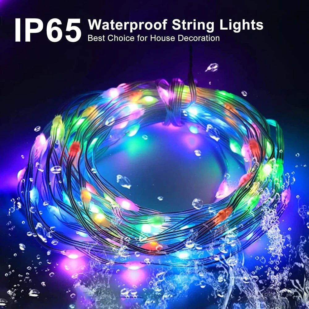 5M10M20M USB RGBIC LED Fairy Lights Smart APP Control Christmas String Lights - Lumaz