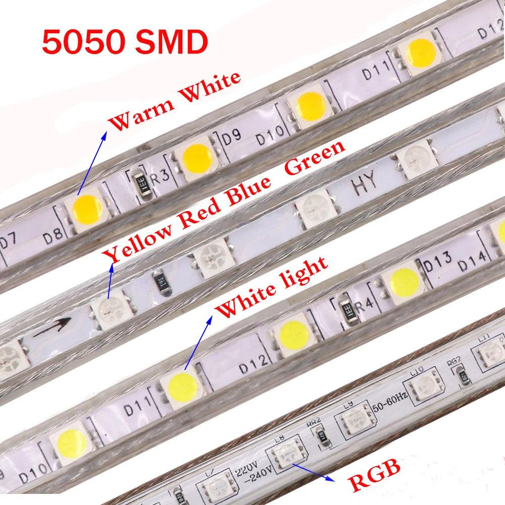 220V SMD 5050 IP67 Waterproof Flexible LED Strip Light With Switch Plug, 60LEDs, RGB Light - Lumaz