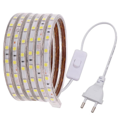 220V SMD 5050 IP67 Waterproof Flexible LED Strip Light With Switch Plug, 60LEDs, RGB Light - Lumaz