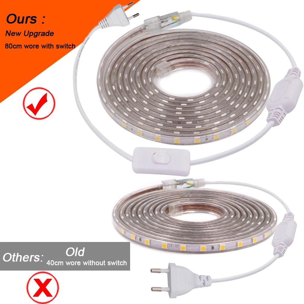 220V SMD 5050 IP67 Waterproof Flexible LED Strip Light With Switch Plug, 60LEDs, RGB Light - Lumaz