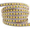 12V LED Strip Light SMD 5630 RGB 120led 60LED 240LED With 9 Colors 5M - Lumaz