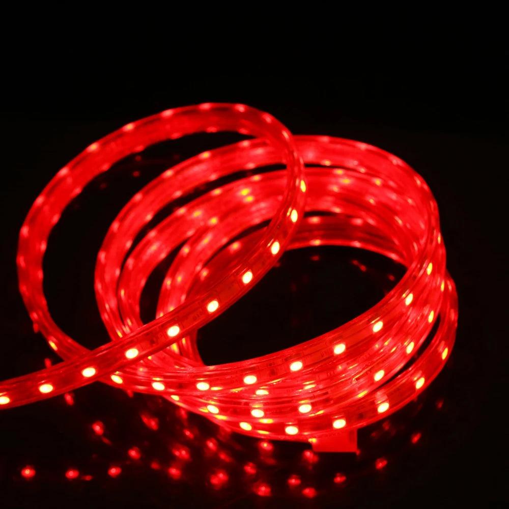 220V SMD 5050 IP67 Waterproof Flexible LED Strip Light With Switch Plug, 60LEDs, RGB Light - Lumaz