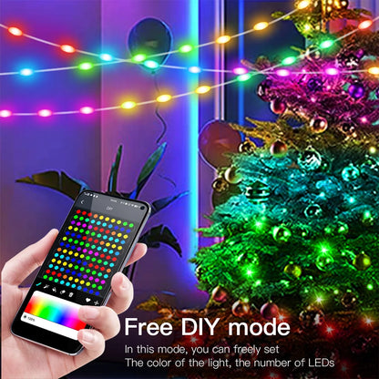 Bluetooth USB LED String Fairy Lights RGBIC Dream Color DIY Christmas Tree