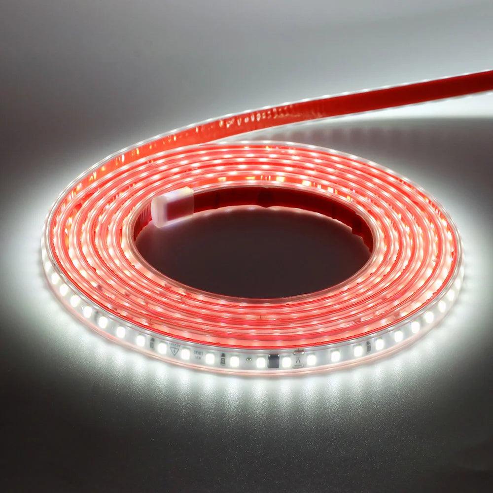 220V SMD 2835 IP65 Waterproof Flexible LED Strip Light With IC Rectifier, 120LEDs - Lumaz