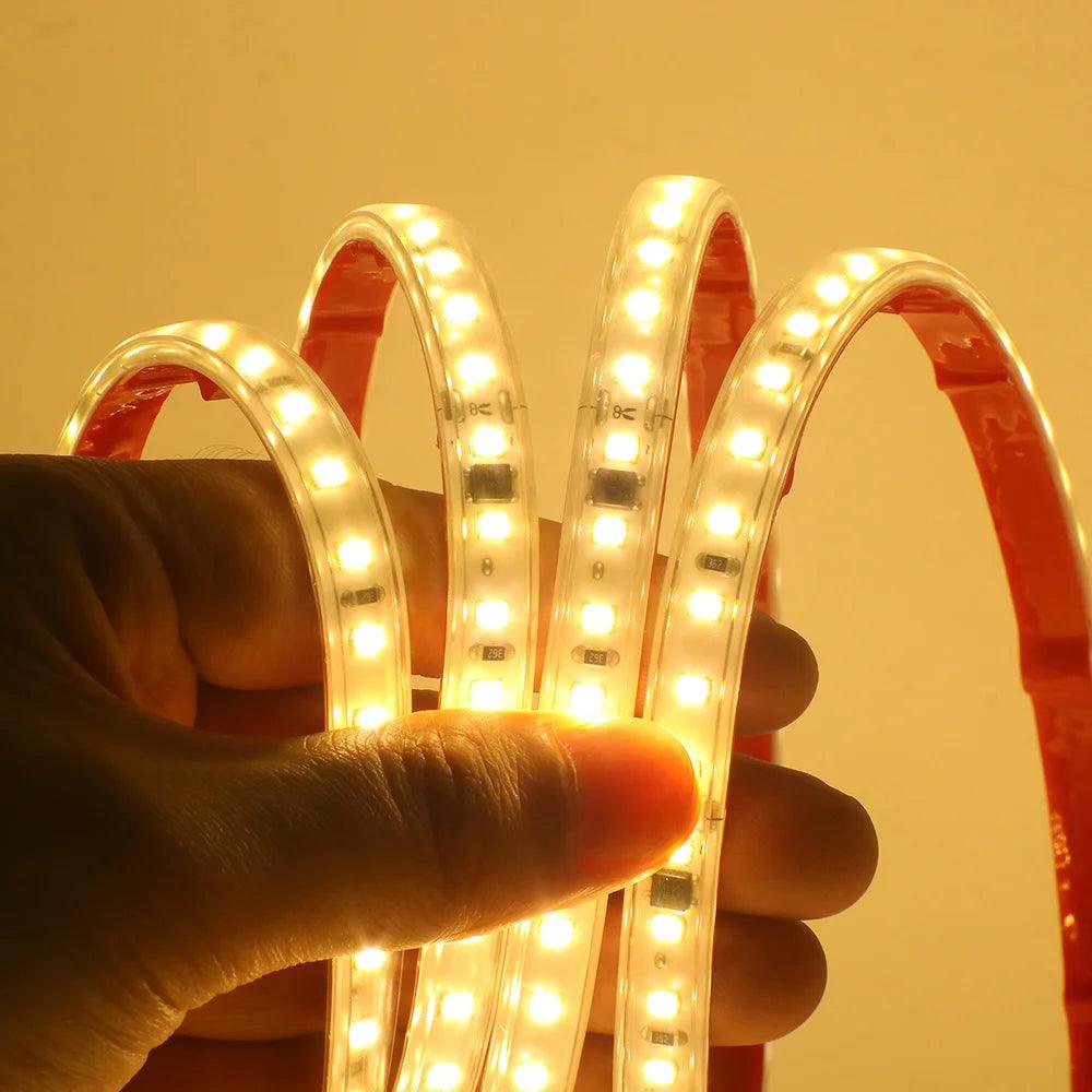 220V SMD 2835 IP65 Waterproof Flexible LED Strip Light With IC Rectifier, 120LEDs - Lumaz