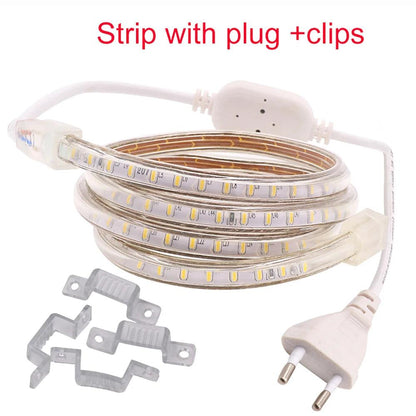 220V IP67 Waterproof SMD 2835 Led Strip Light With 120LEDs, Power plug - Lumaz