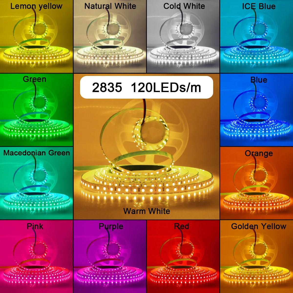 12V 24V SMD 2835 LED Strip Light Hight Brightness 120/180 LEDs With 13 Colors - Lumaz