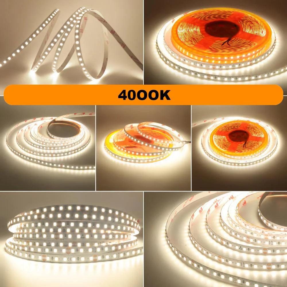 24V SMD 2835 LED Strip Light With Color Temp 2700K-6000K - Lumaz