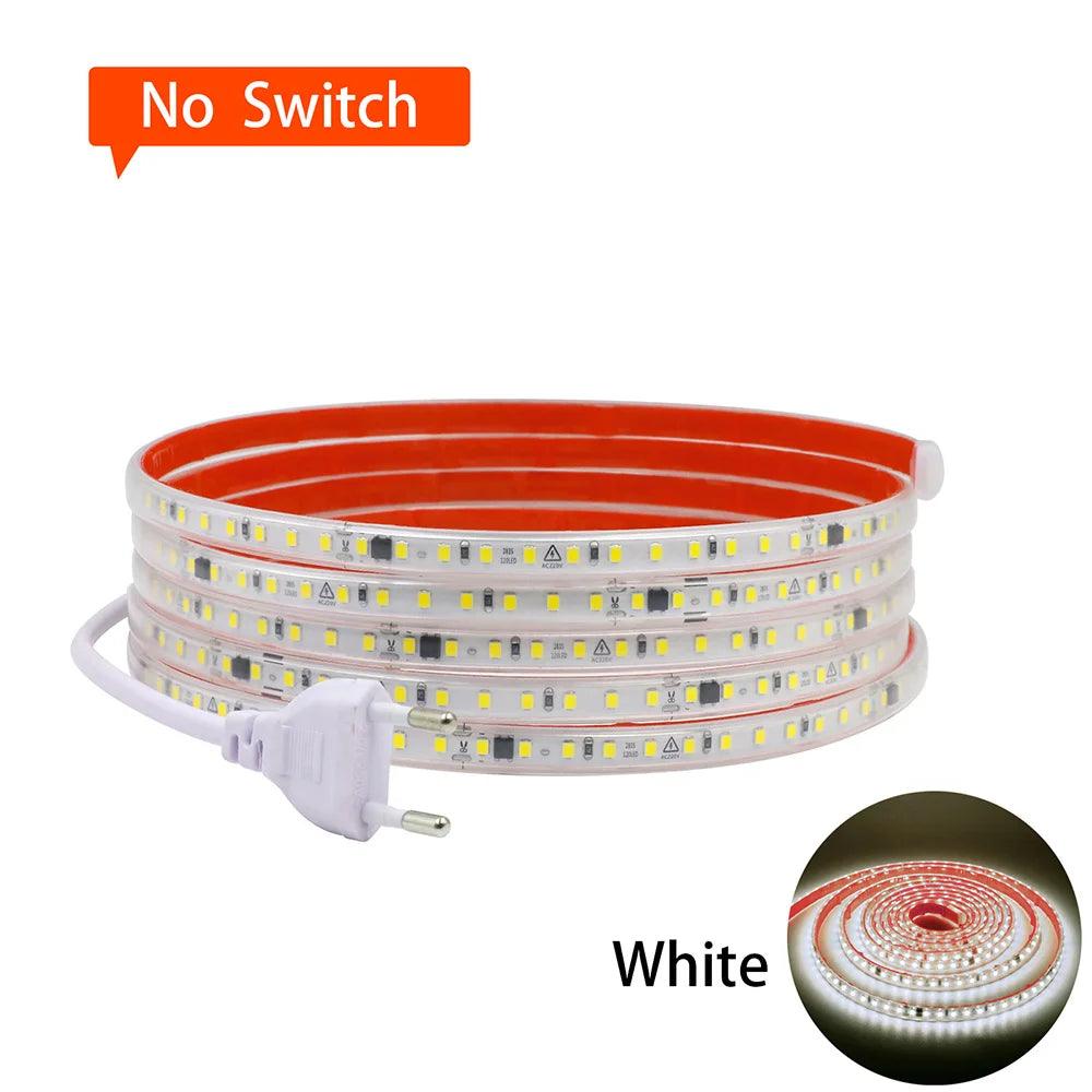 220V SMD 2835 IP65 Waterproof Flexible LED Strip Light With IC Rectifier, 120LEDs - Lumaz