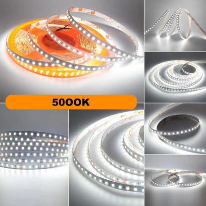 24V SMD 2835 LED Strip Light With Color Temp 2700K-6000K - Lumaz