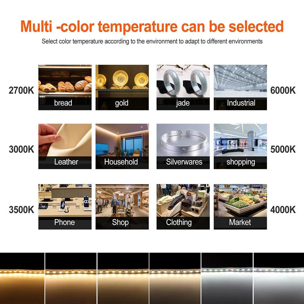 24V SMD 2835 LED Strip Light With Color Temp 2700K-6000K - Lumaz