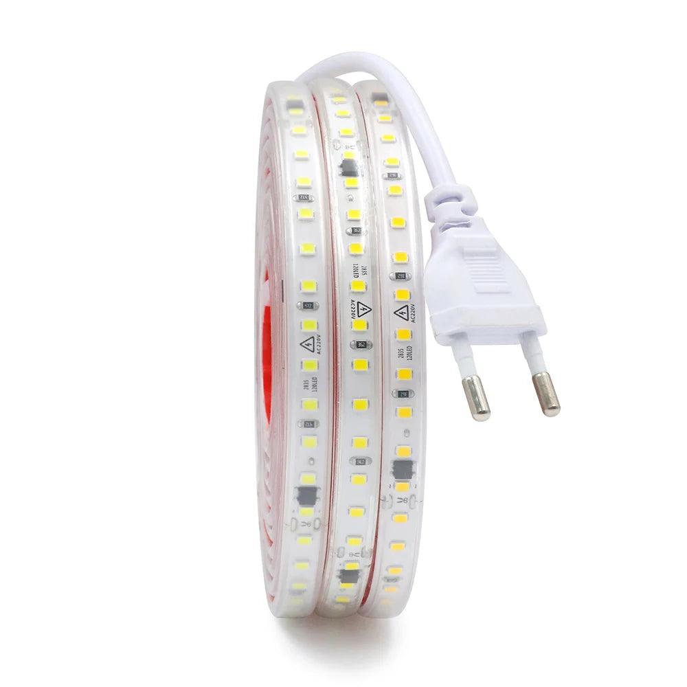 220V SMD 2835 IP65 Waterproof Flexible LED Strip Light With IC Rectifier, 120LEDs - Lumaz