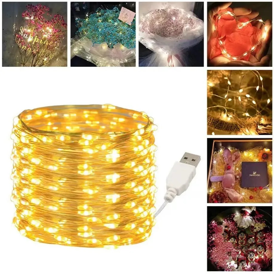 USB LED Outdoor Fairy String Lights With Copper Wire Waterproof For Holiday Lighting