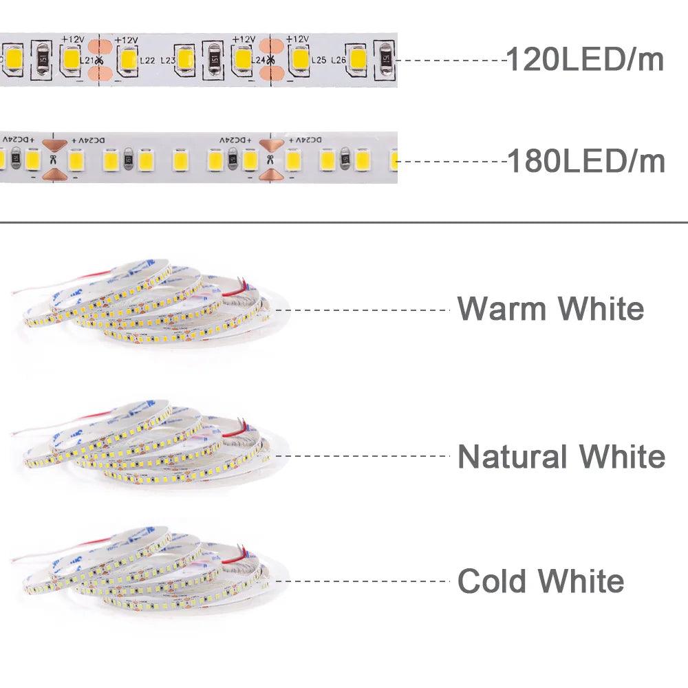 12V 24V SMD 2835 LED Strip Light Hight Brightness 120/180 LEDs With 13 Colors - Lumaz