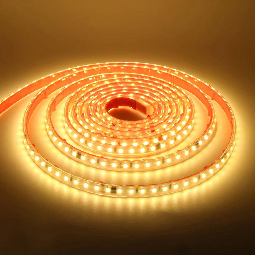 220V SMD 2835 IP65 Waterproof Flexible LED Strip Light With IC Rectifier, 120LEDs - Lumaz