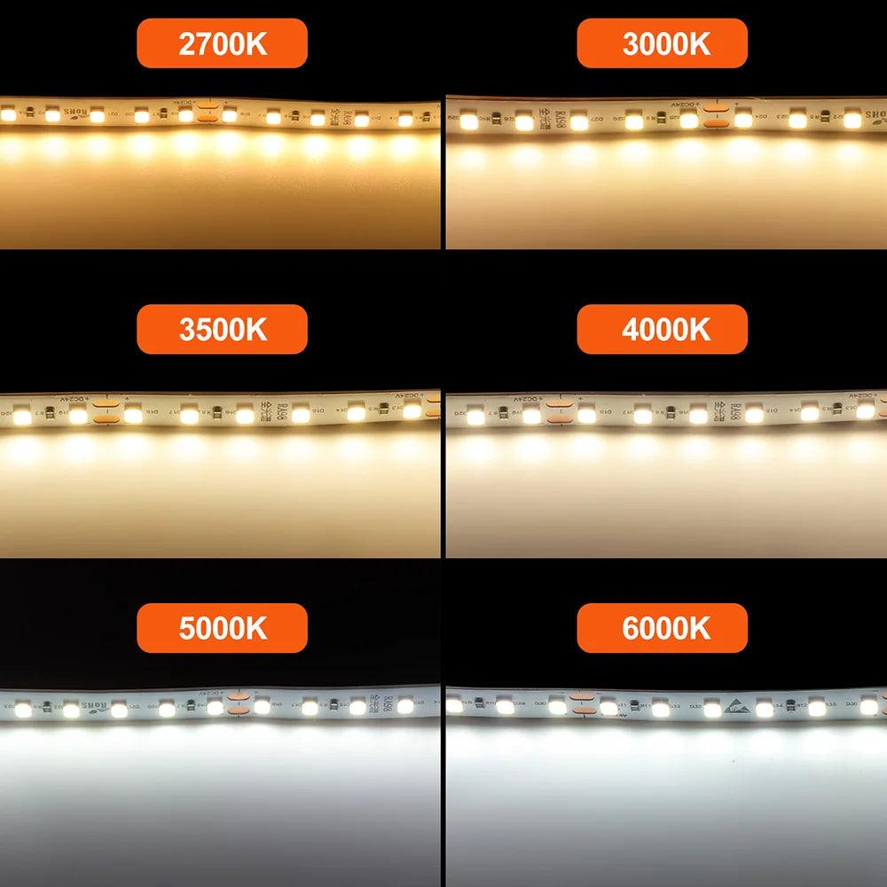 24V SMD 2835 LED Strip Light With Color Temp 2700K-6000K - Lumaz