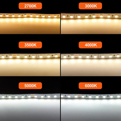 24V SMD 2835 LED Strip Light With Color Temp 2700K-6000K - Lumaz