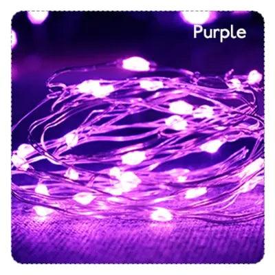 Battery Powered Copper Wire LED Fairy String Lights Lumaz - Lumaz