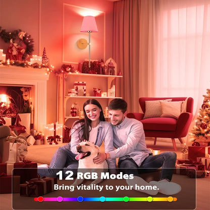 Battery Powered LED Wall Lamp Rechargeable Dimmable Detachable E27 Bulb Remote control