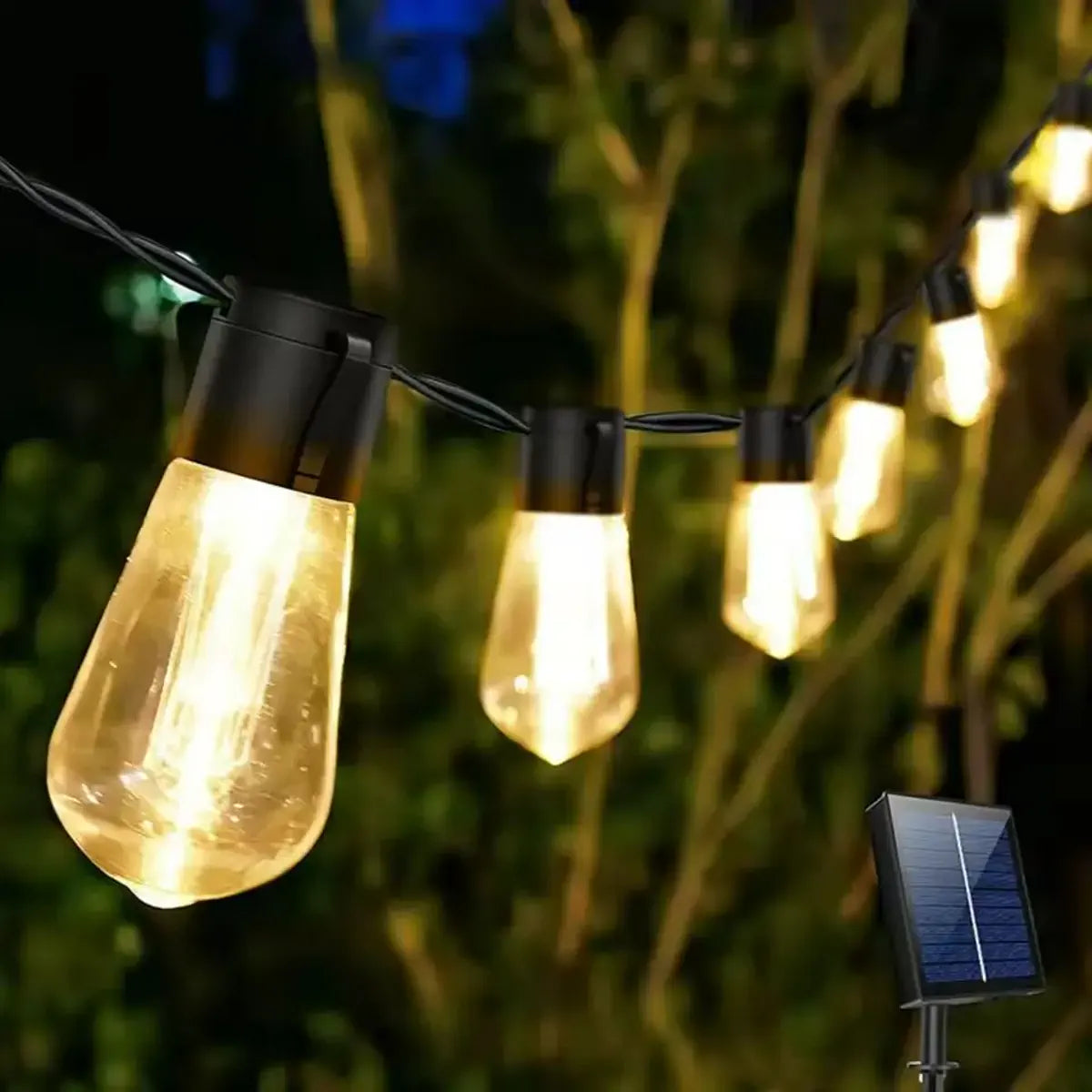 Close-up of warm bulbs beside garden leaves
