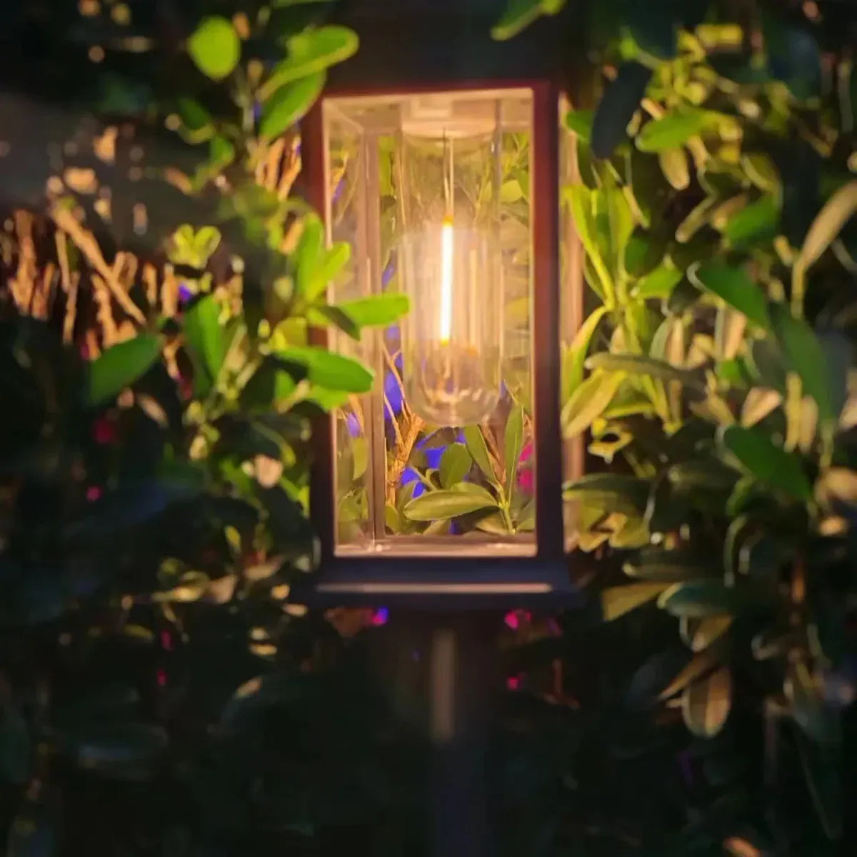 Filament-style solar light among flowering plants