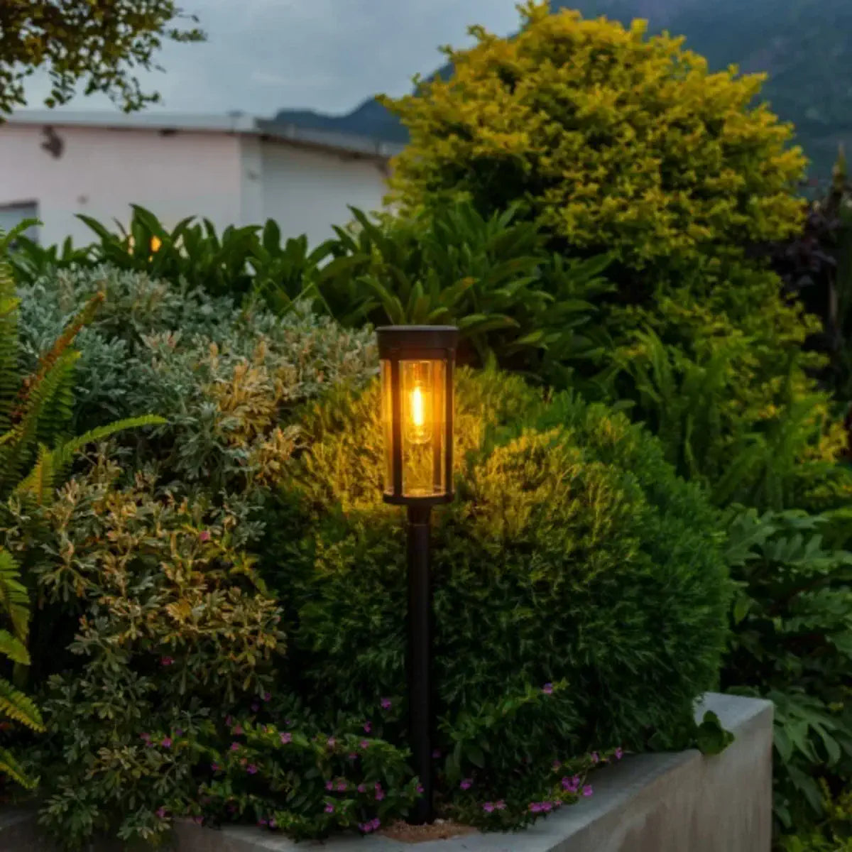 Solar lantern light beside a low garden wall