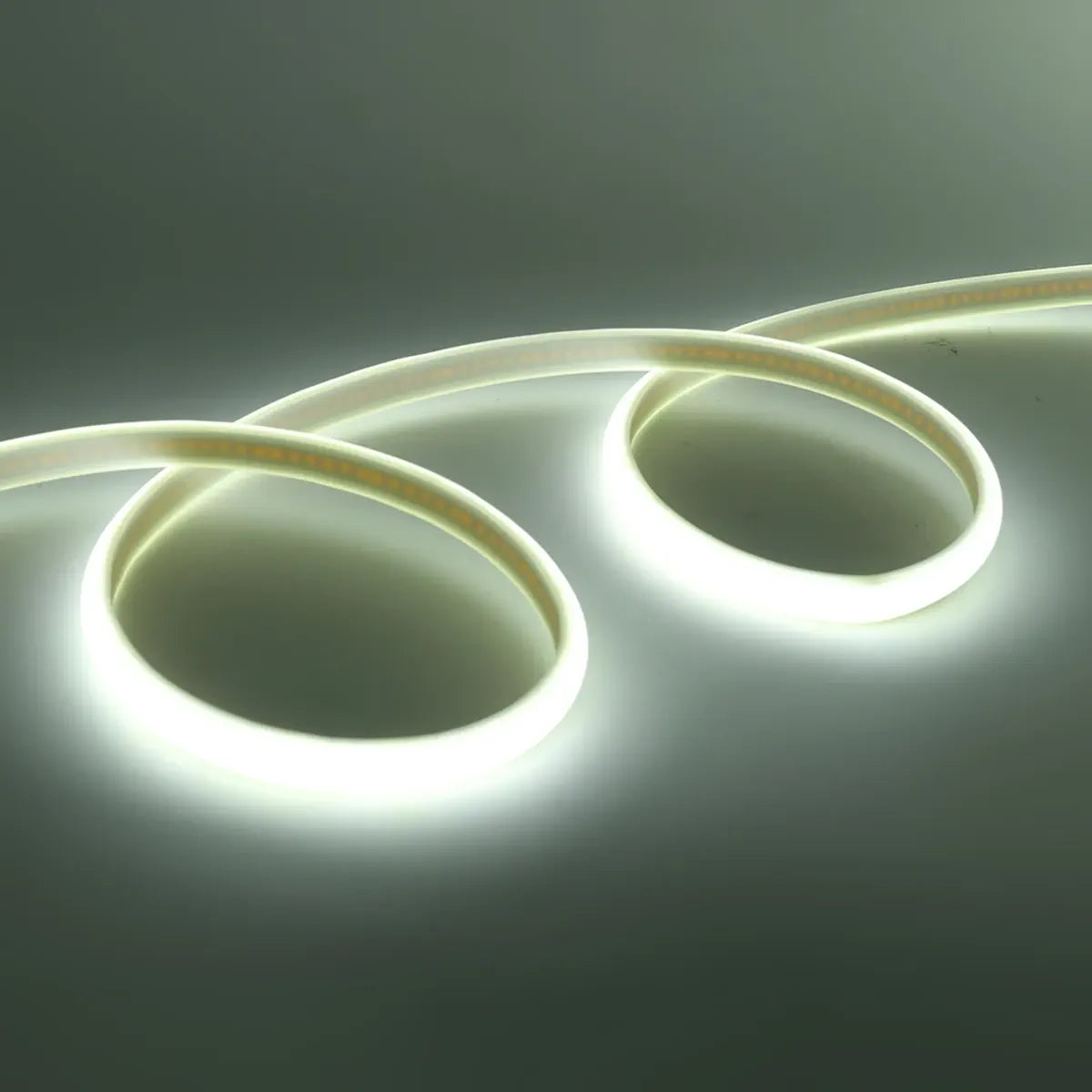 Cool white COB neon strip arranged in two loops
