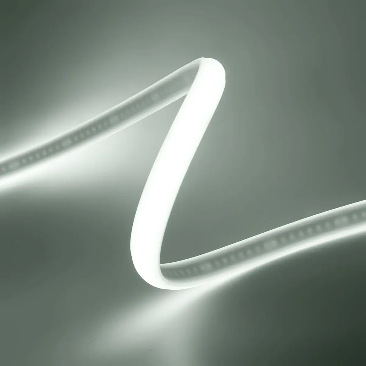 Cool white COB neon strip demonstrating a smooth bend