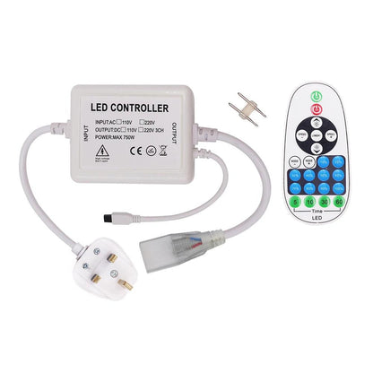 LED Power Plug Kit 23KEY Remote Control Swithing For 110V 220V Neon Led Strip Light Cold Accessories - Lumaz