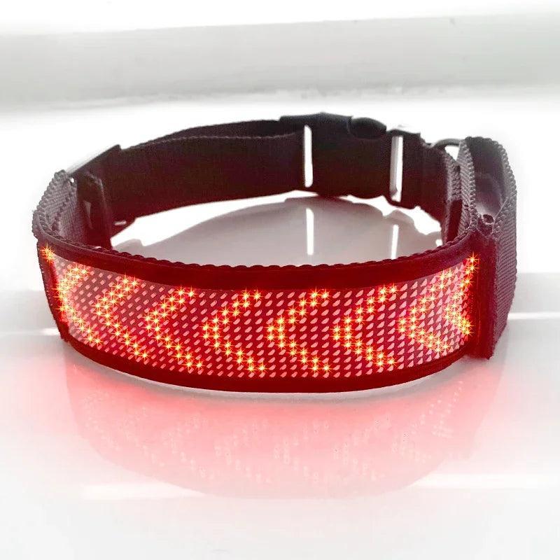 Lumaz Luminous LED Pet Collar - Lumaz