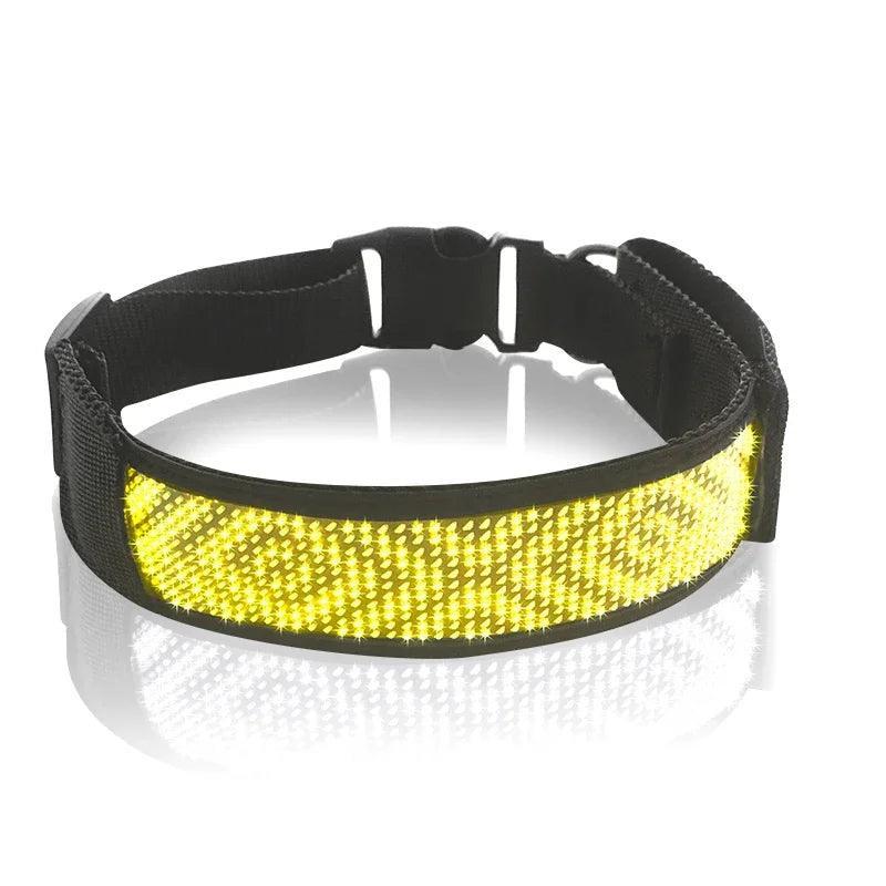 Lumaz Luminous LED Pet Collar - Lumaz