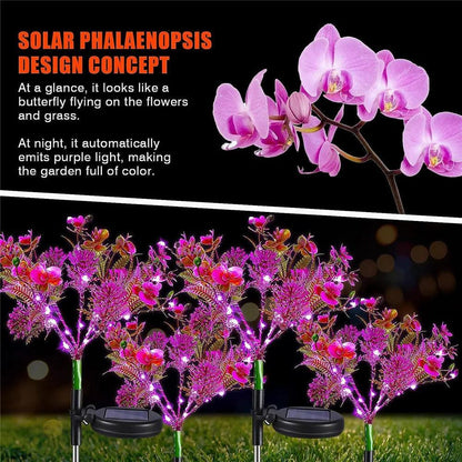 LED Outdoor Solar Phalaenopsis Flower Light With Waterproof IP65 For Garden Decor - Lumaz