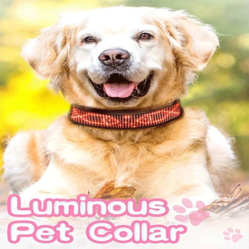 Smart Luminous LED Pet Collar Waterproof Light Up - Lumaz