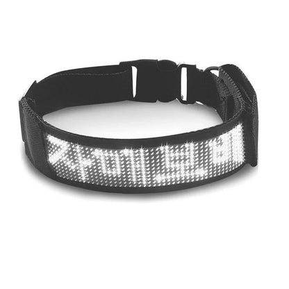 Smart Luminous LED Pet Collar Waterproof Light Up - Lumaz