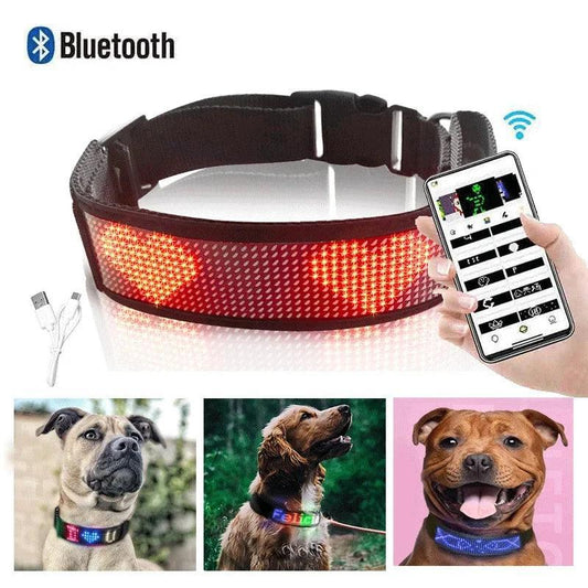 Smart Luminous LED Pet Collar Waterproof Light Up - Lumaz