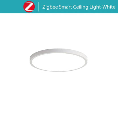 Smart RGBCW LED Ceiling Light With Voice Control Timer Control - Lumaz