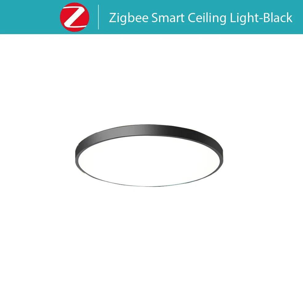 Smart RGBCW LED Ceiling Light With Voice Control Timer Control - Lumaz