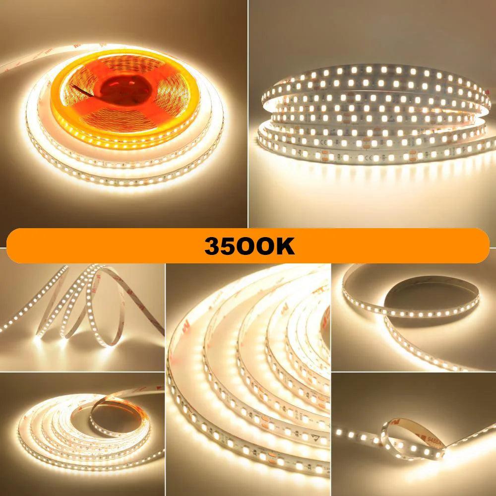 SMD 2835 24V LED Strip Lights With 120 LEDs RA98 2700K6000K - Lumaz