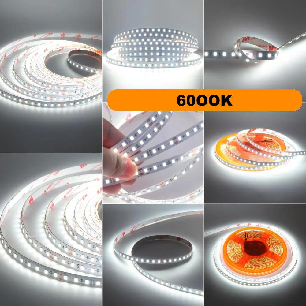 SMD 2835 24V LED Strip Lights With 120 LEDs RA98 2700K6000K - Lumaz