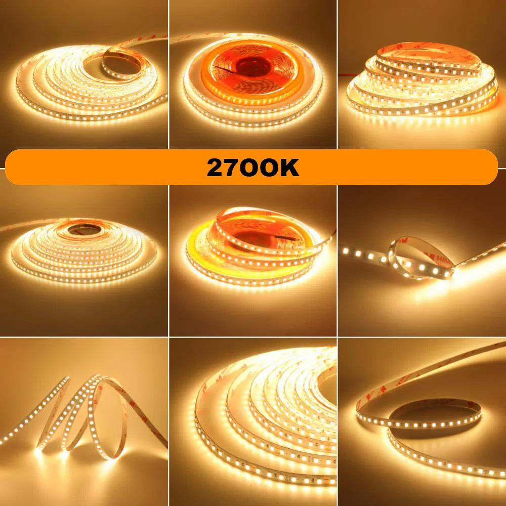 SMD 2835 24V LED Strip Lights With 120 LEDs, RA98, 2700K-6000K - Lumaz