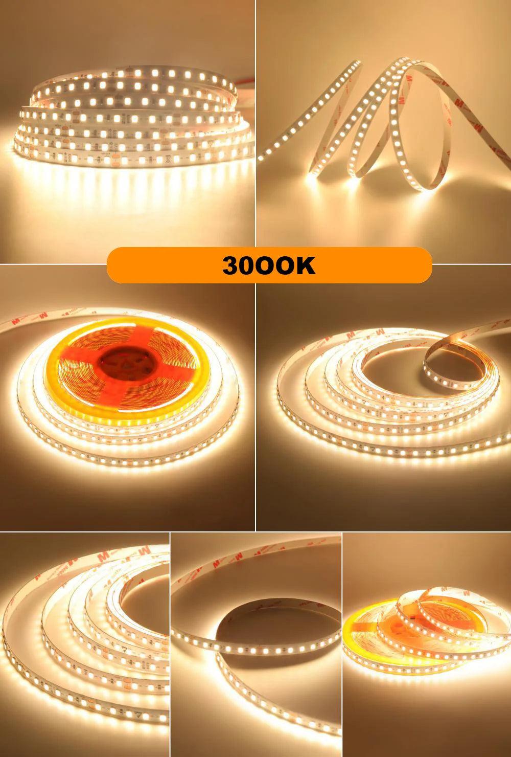 SMD 2835 24V LED Strip Lights With 120 LEDs RA98 2700K6000K - Lumaz