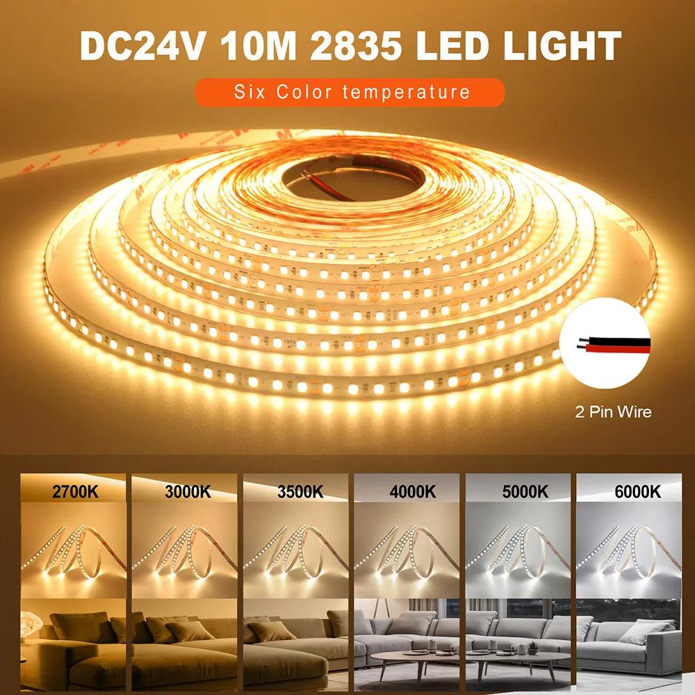 SMD 2835 24V LED Strip Lights With 120 LEDs, RA98, 2700K-6000K - Lumaz