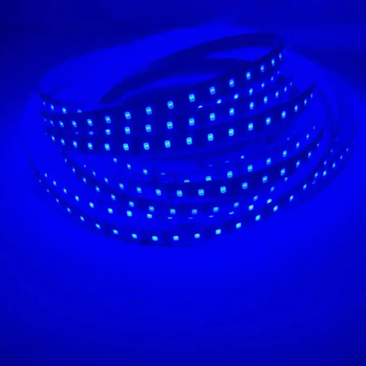 Rubans LED SMD 2835 120 LED/m - DC12V/24V, 9 Couleurs, Flexibles & Sécables